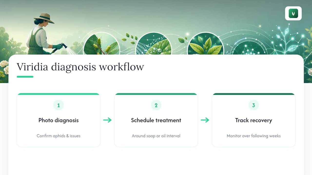 How Viridia Helps You Diagnose and Track Treatment — overview diagram