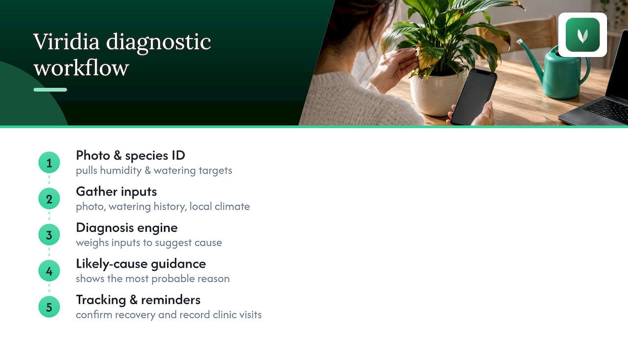 Plant diagnosis and recovery tracking workflow