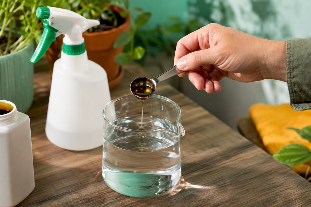 Measuring neem oil for water dilution