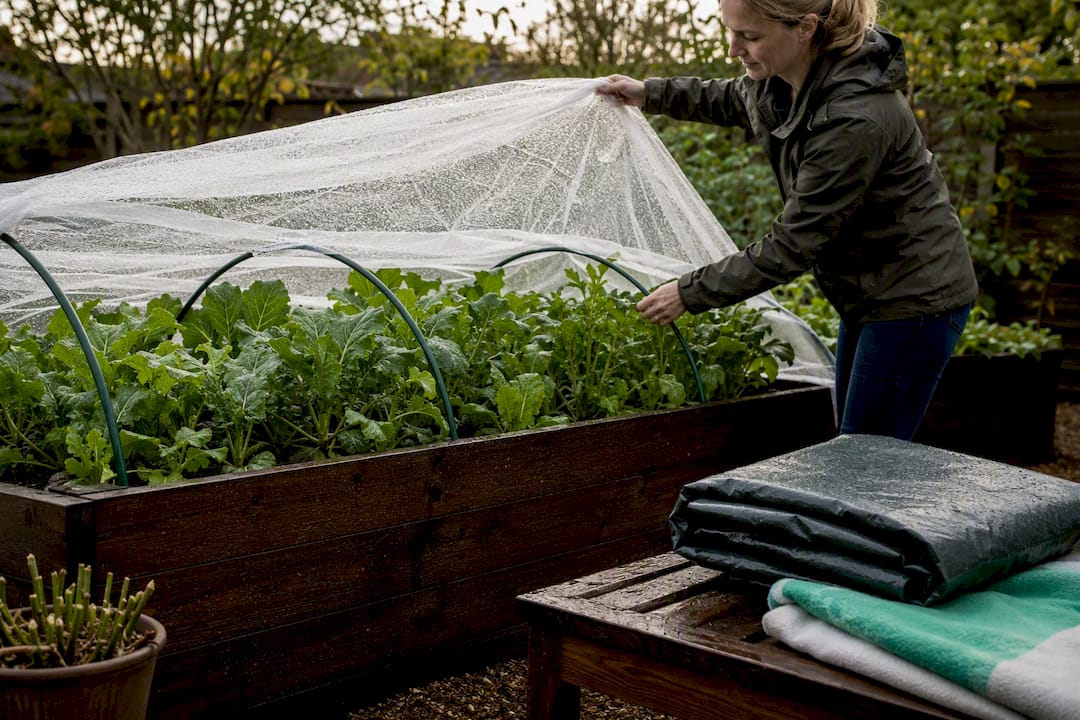 Hail netting lifted above wet garden plants