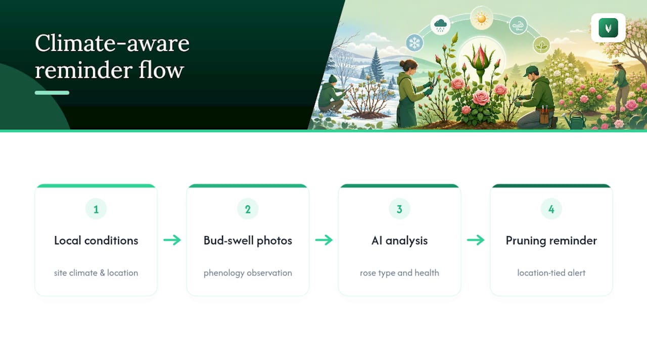 Climate-aware rose pruning reminder flow
