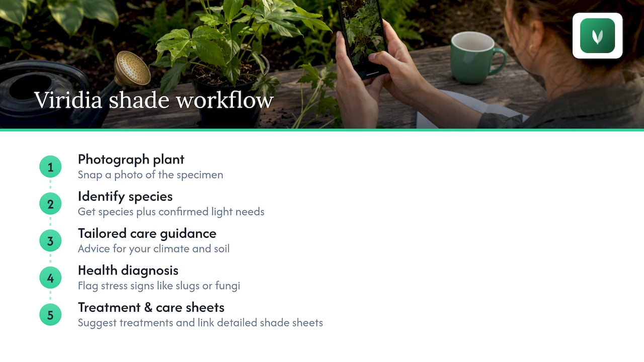 Shade plant identification and care workflow