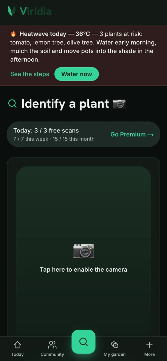 Identify any plant